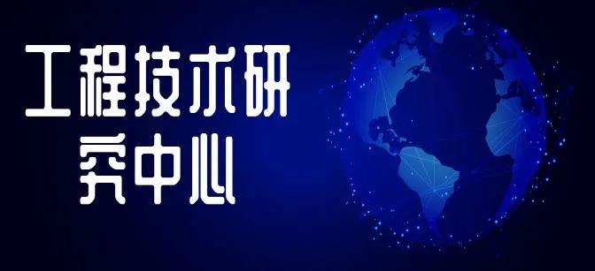 2020快住集团获奖集锦：攻克底层难关，共展物联生态！